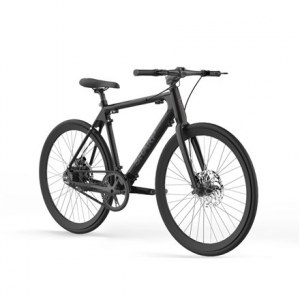 Sharp Black | 250 W | Hybrid E-Bike | 24 month(s) | 21 